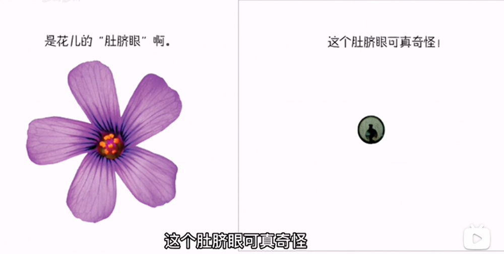 80467b37937745f2be83d9f3f0e9ec69.png