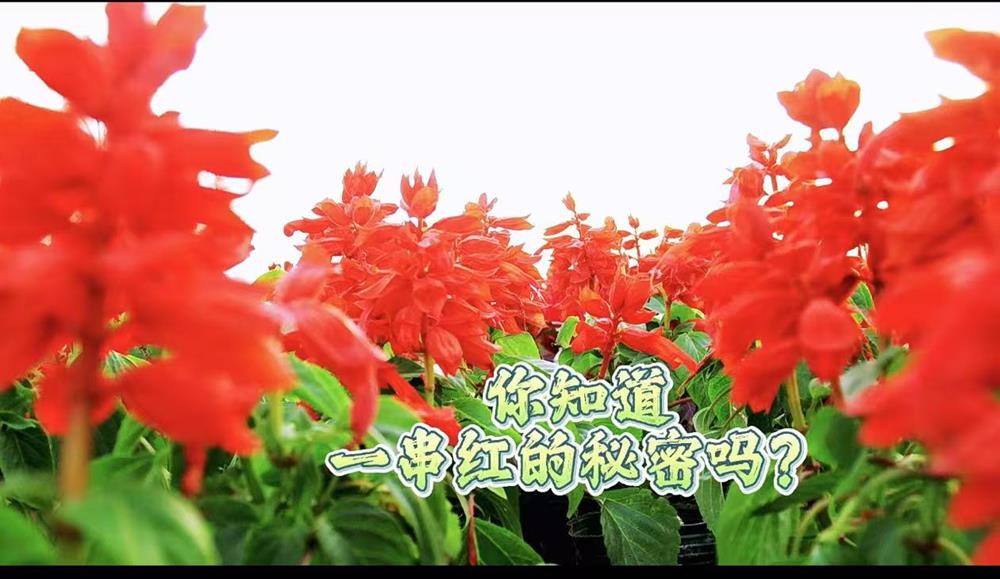 4d98702fa2f8401389ed0395bb1e58fc.jpg