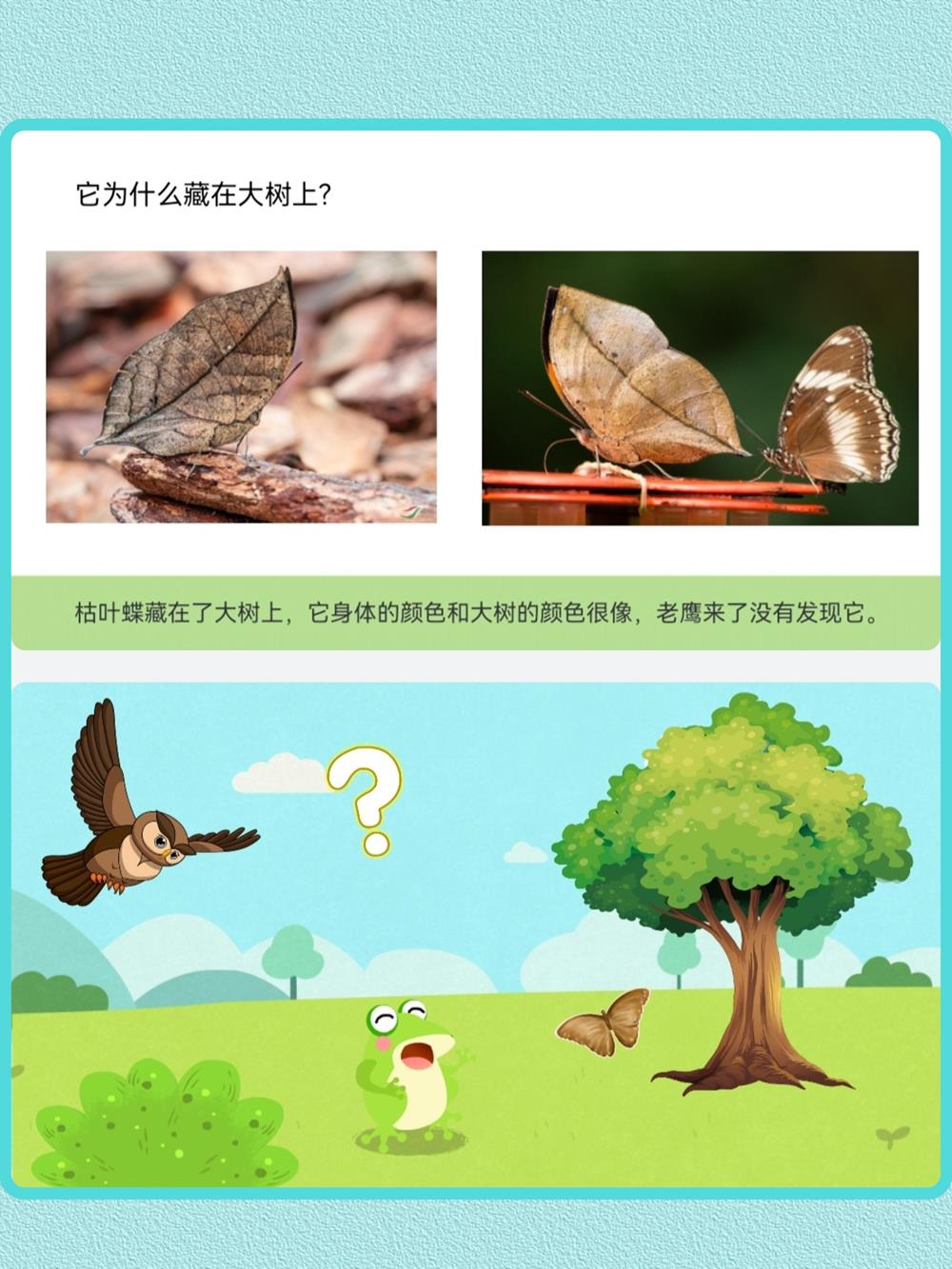 e392a8ee46a2417b97f87dc7c5b46b00.jpg e392a8ee46a2417b97f87dc7c5b46b00.jpg